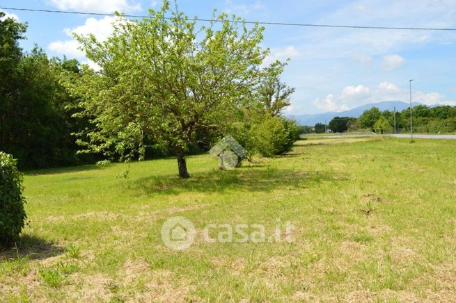 Terreno agricolo in commerciale in Via Romana Lucchese