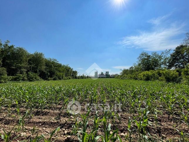 Terreno agricolo in commerciale in 