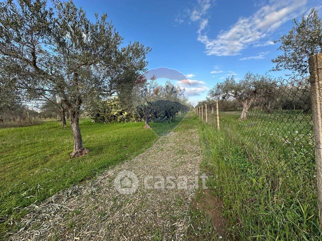 Terreno agricolo in commerciale in SP3