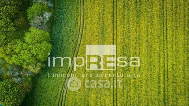 Terreno agricolo in commerciale in Vicolo Canizzano