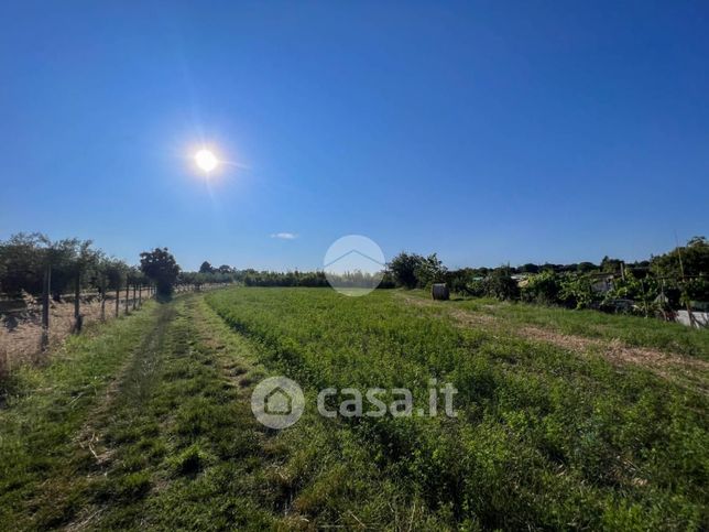 Terreno agricolo in commerciale in Via S. Andrea 46