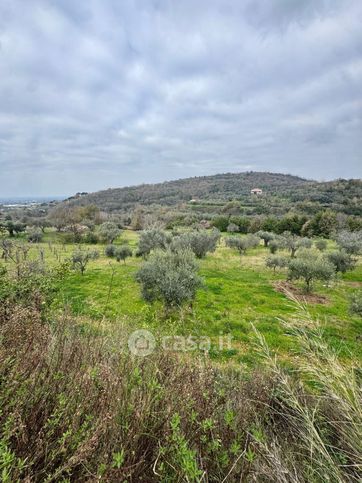 Terreno agricolo in commerciale in Via raccomandata