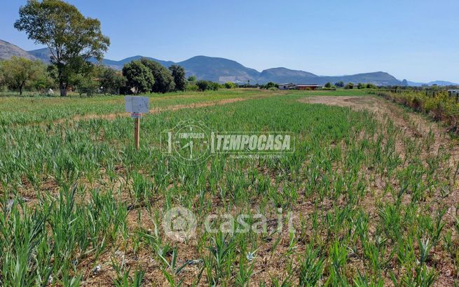 Terreno agricolo in commerciale in Via Mortacino