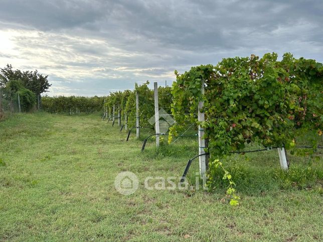 Terreno agricolo in commerciale in Via della Repubblica 41