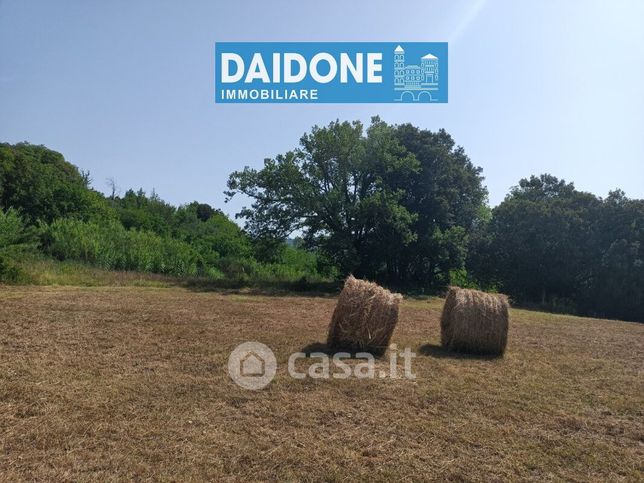 Terreno agricolo in commerciale in Via del Poggetto