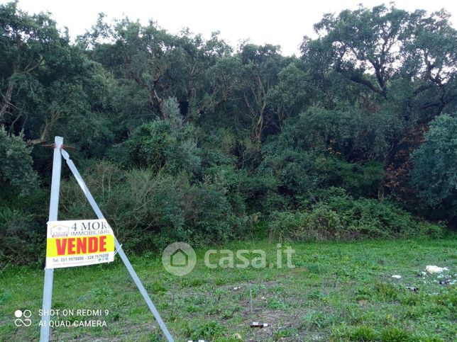 Terreno agricolo in commerciale in SP84 2