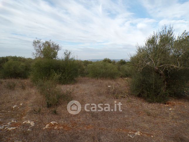 Terreno agricolo in commerciale in monte oro scardacciu