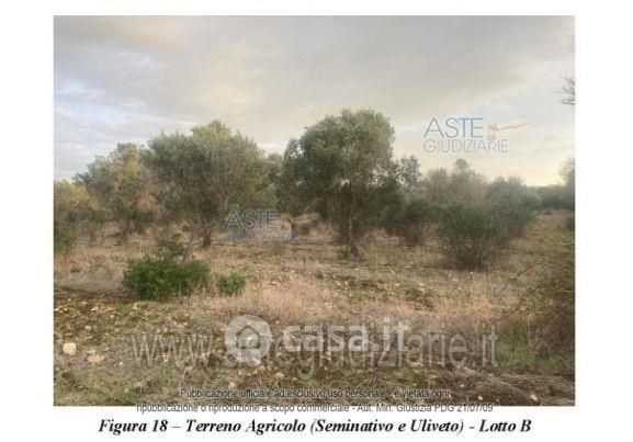 Terreno agricolo in commerciale in 