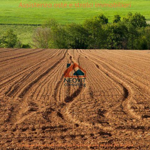 Terreno agricolo in commerciale in Via Madonna della Neve