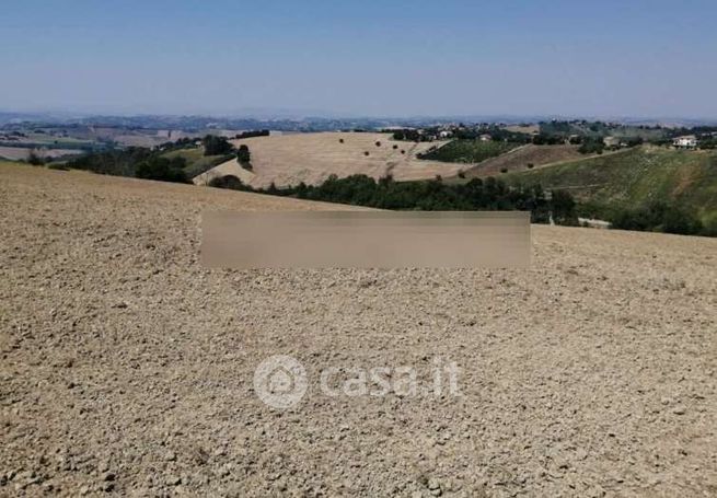 Terreno agricolo in commerciale in Contrada Colle Cerreto