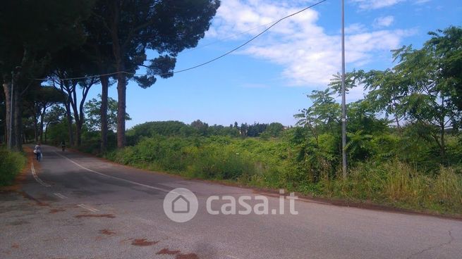 Terreno agricolo in commerciale in Viale Appio Claudio 69