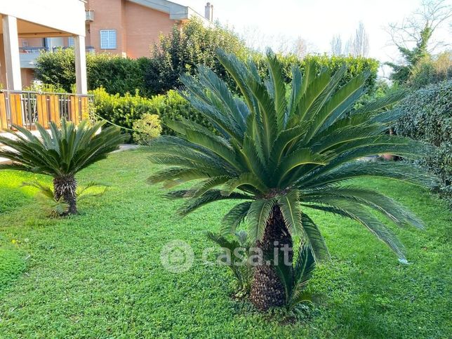 Casa indipendente in residenziale in Viale delle Ginestre 60
