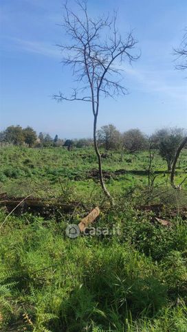 Terreno agricolo in commerciale in 