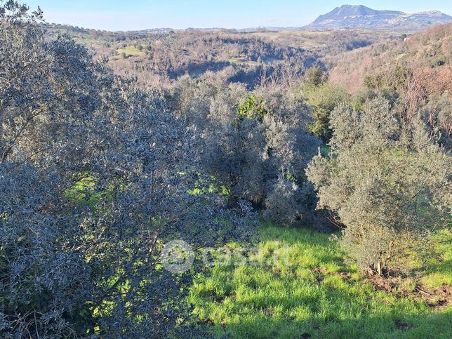 Terreno agricolo in commerciale in 