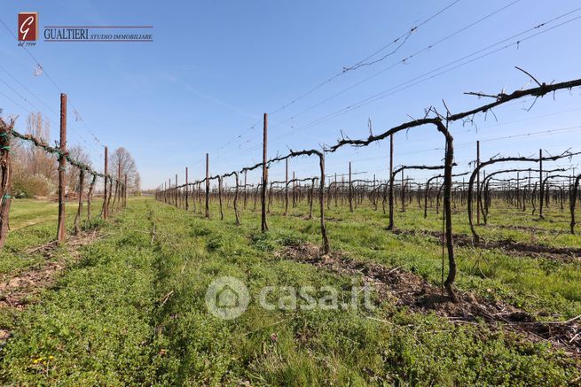 Terreno agricolo in commerciale in
