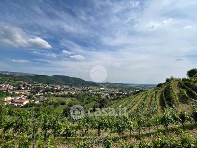 Terreno agricolo in commerciale in Via Stella