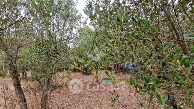 Terreno agricolo in commerciale in Via Prealino