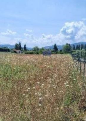 Terreno agricolo in commerciale in Via Bongrazi
