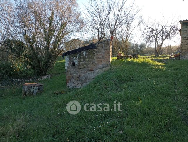 Terreno agricolo in commerciale in Località terraglie