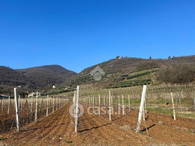 Terreno agricolo in commerciale in Via Fontanelle