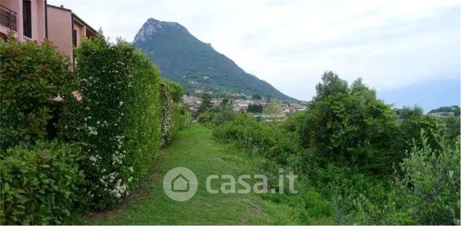 Terreno agricolo in commerciale in Via Andrea del Sarto