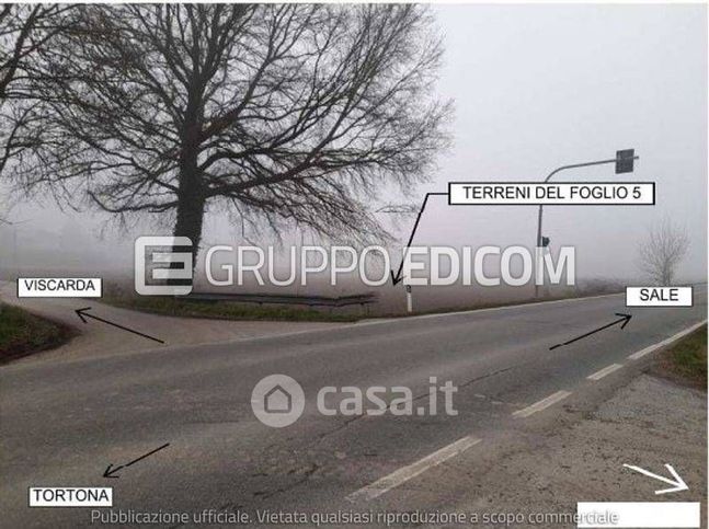Terreno agricolo in commerciale in Strada Statale per Alessandria