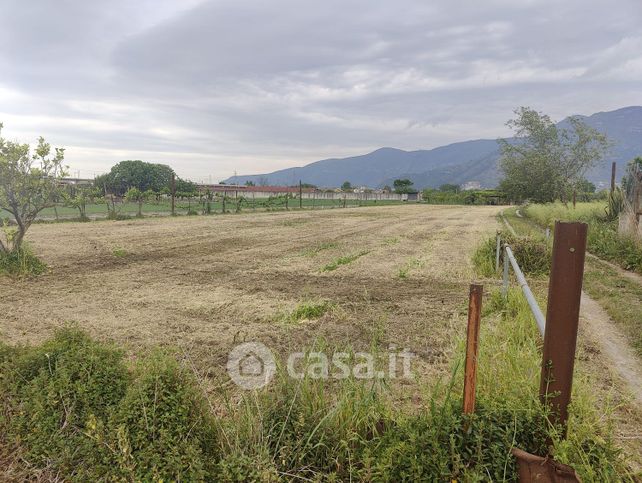 Terreno agricolo in commerciale in Via Carrara D'amora