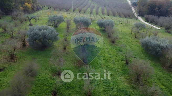 Terreno agricolo in commerciale in Piazza della Repubblica