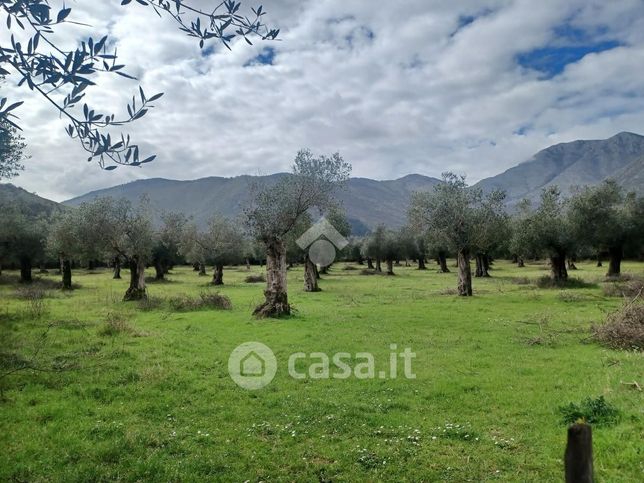 Terreno agricolo in commerciale in Strada di Bonifica Venticinque