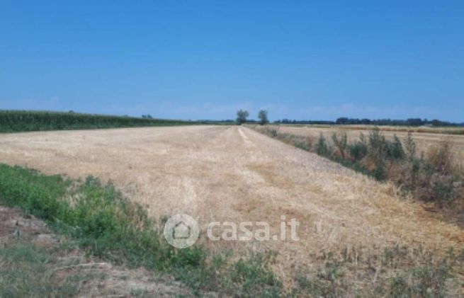 Terreno edificabile in residenziale in Strada Provinciale 4