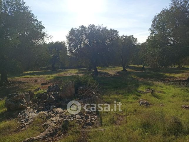 Terreno agricolo in commerciale in Strada Marroco - Surii