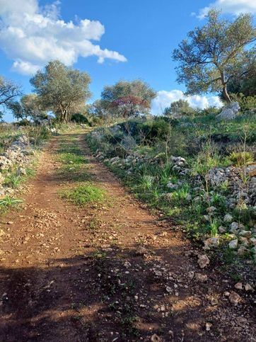 Terreno agricolo in commerciale in Contrada Case Cugni