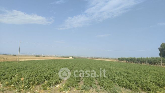 Terreno agricolo in commerciale in Via ascoli