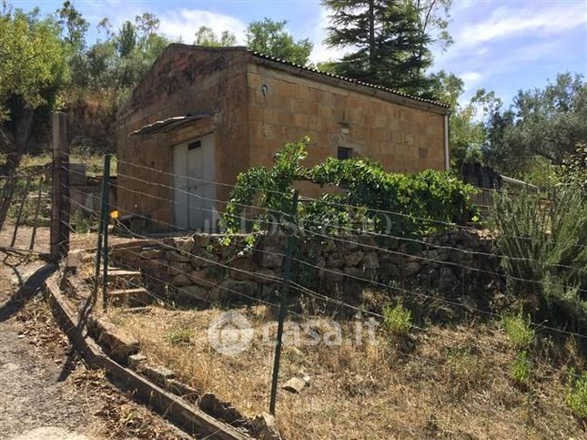 Terreno agricolo in commerciale in Strada Vicinale Torre