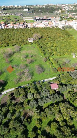 Terreno agricolo in commerciale in Via Filicusa