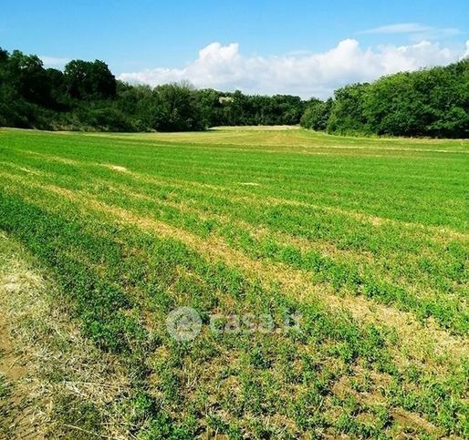 Terreno agricolo in commerciale in Via dell'Iserone