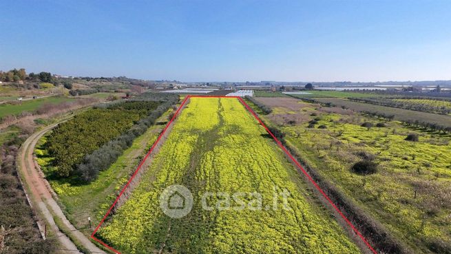 Terreno agricolo in commerciale in 