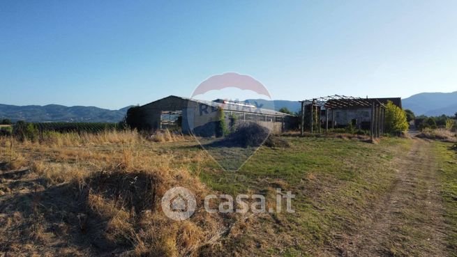 Terreno agricolo in commerciale in Via di San Pantaleo