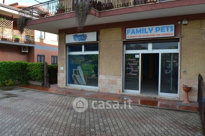 Attivitã /licenza (con o senza mura) in commerciale in Via di Castel di Leva 261 Q
