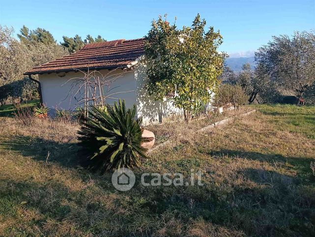 Terreno agricolo in commerciale in Via Forrottoli