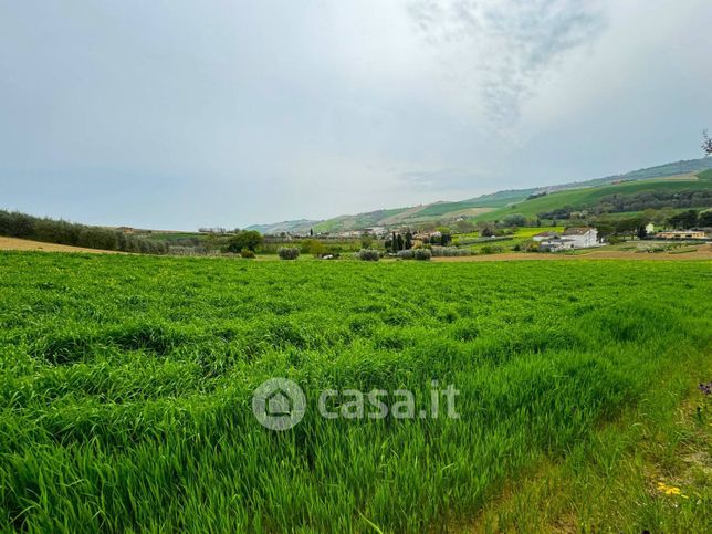 Terreno agricolo in commerciale in Contrada Ete