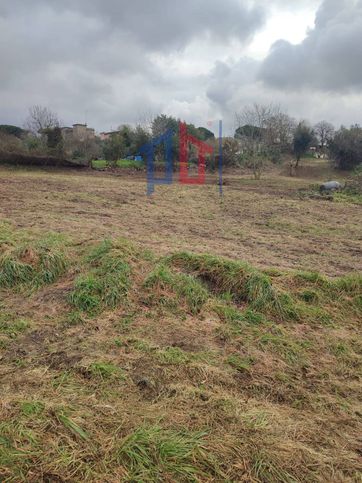 Terreno agricolo in commerciale in Vicolo Sant'Antonio