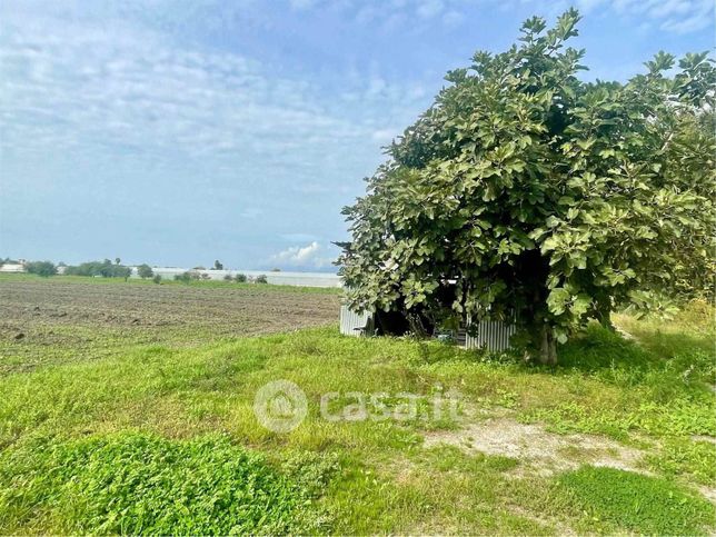 Terreno agricolo in commerciale in Via Verdesca