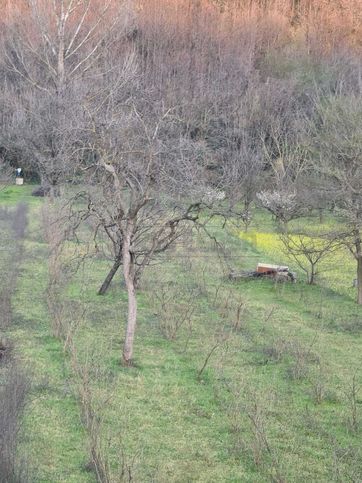 Terreno agricolo in commerciale in 