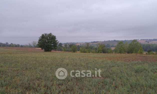 Terreno edificabile in residenziale in Strada Vicinale del Castellino