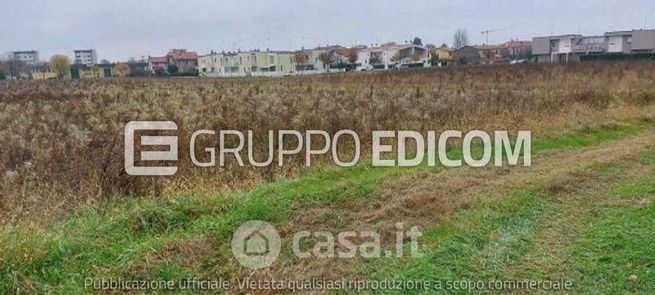 Terreno agricolo in commerciale in Via Noventa