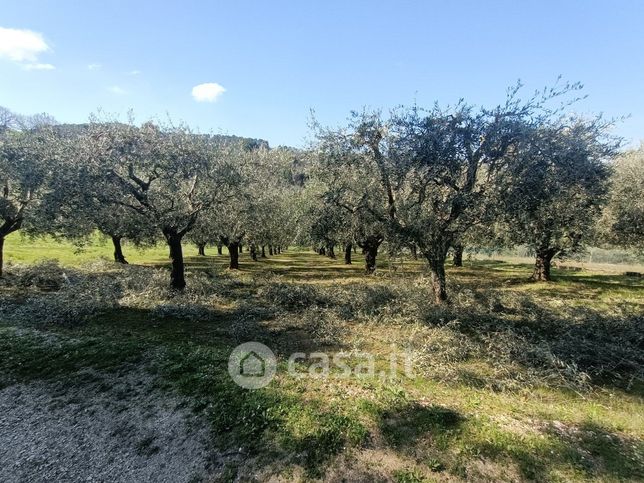 Terreno agricolo in commerciale in Strada Madonna del Monte