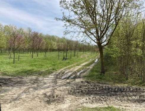 Terreno agricolo in commerciale in Strada Portorose