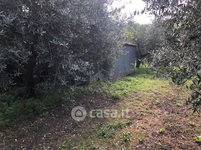 Terreno agricolo in commerciale in Via Metrano