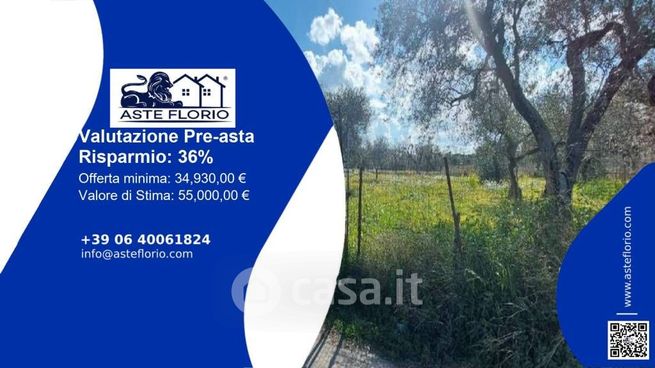 Terreno agricolo in commerciale in Contrada Quatraro
